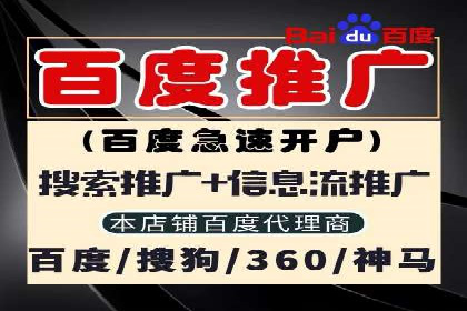 网络推广竞价策略案例分析